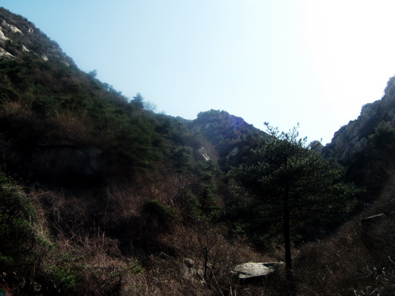 dscf0191.jpg