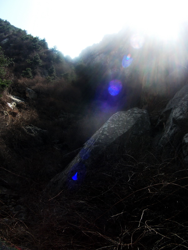 dscf0192.jpg