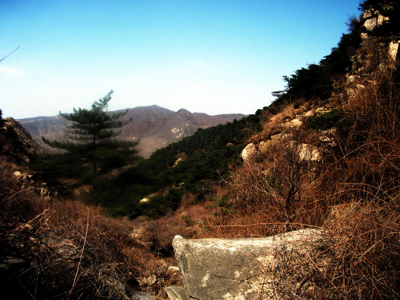 dscf0193.jpg