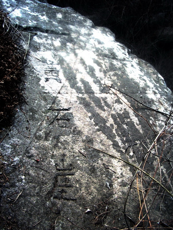 dscf0195.jpg