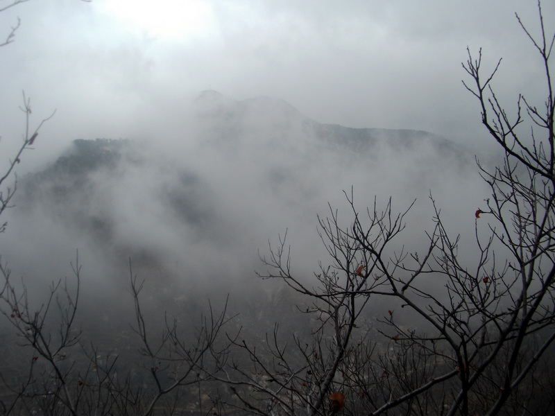 dscf0080.jpg
