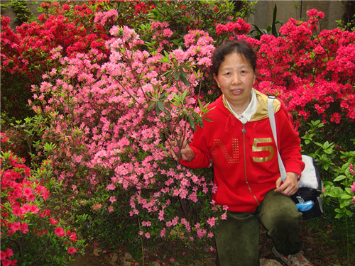 dsc05246_.jpg