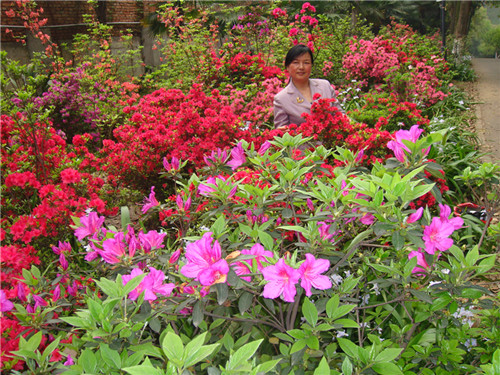 dsc05244_.jpg