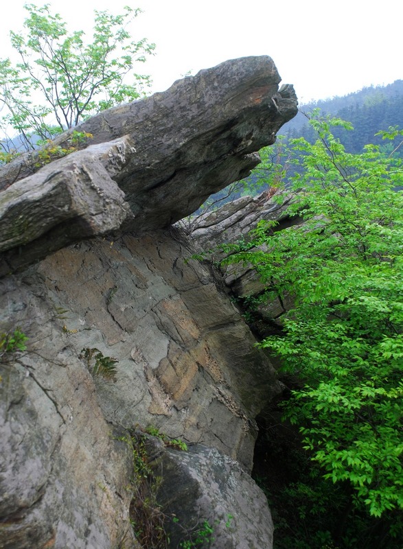 dsc_7536.jpg