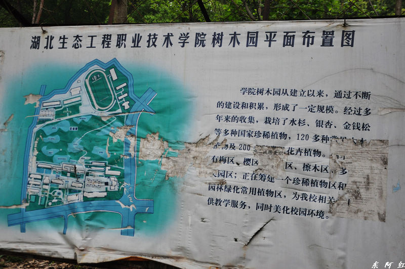 dsc_0651.jpg