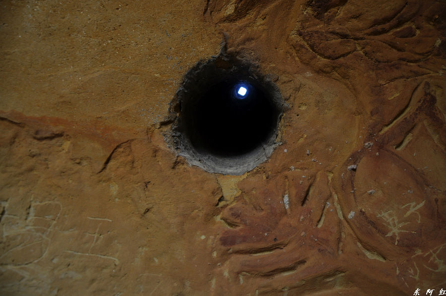 dsc_0042.jpg