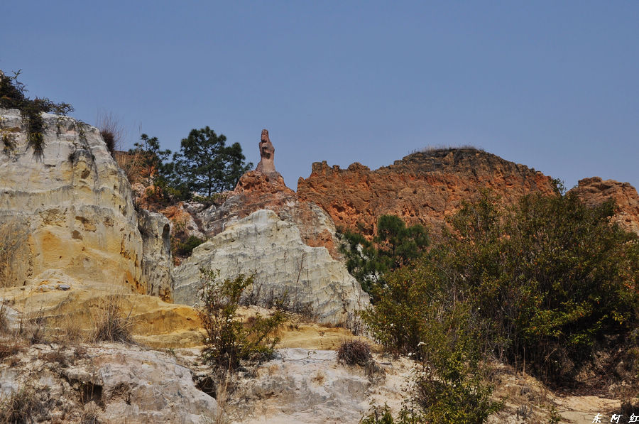 dsc_0066.jpg