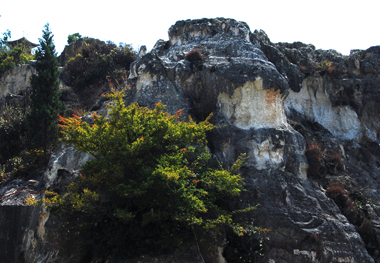 dsc_0616.jpg