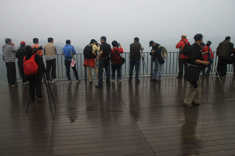img_8972.jpg