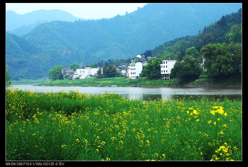 neo_img_徽杭之旅 011_conew1.jpg