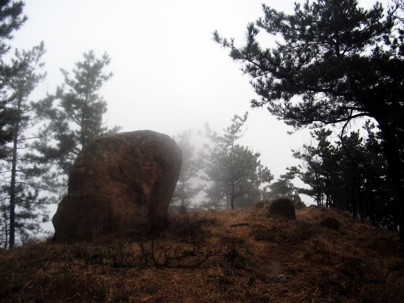 dscf0090.jpg