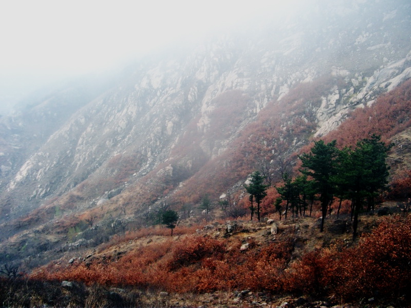 dscf0093.jpg