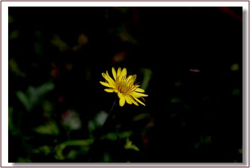 _mg_4435.jpg