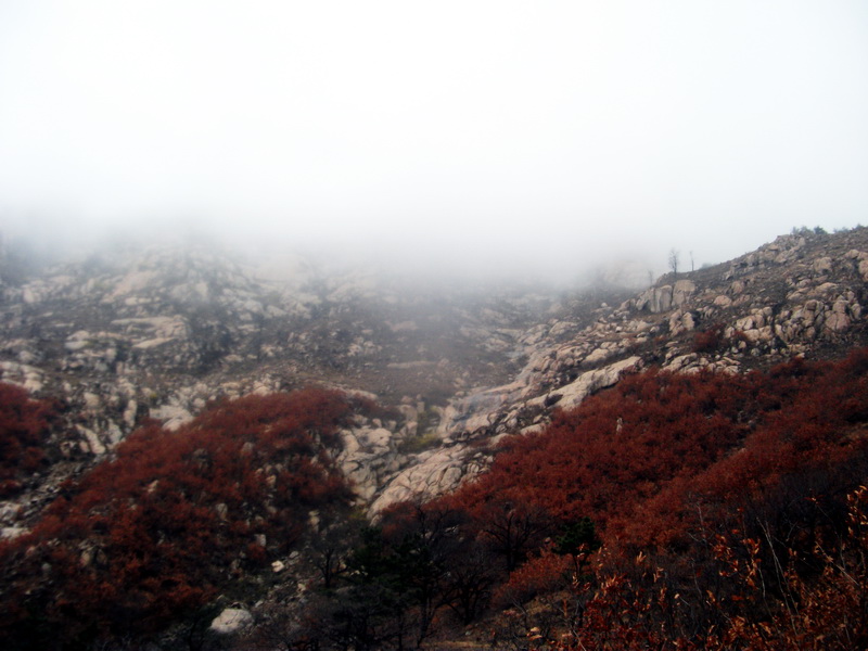 dscf0095.jpg