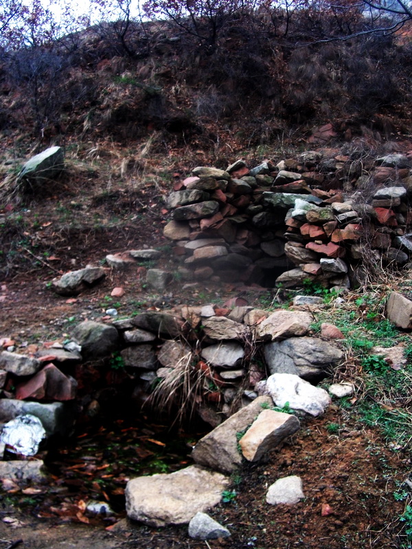 dscf0098.jpg