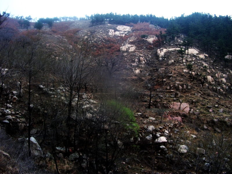 dscf0099.jpg