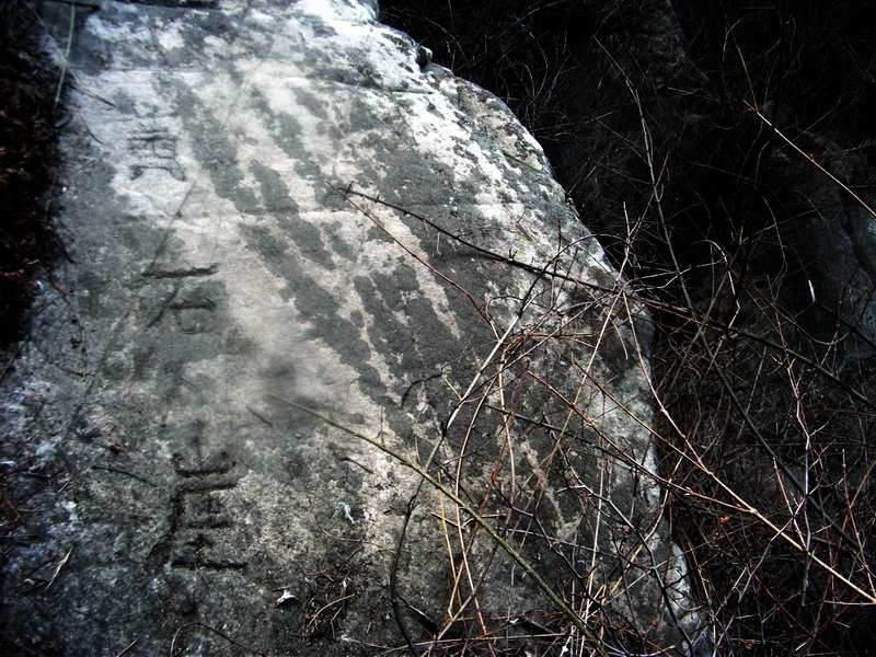 dscf0196.jpg