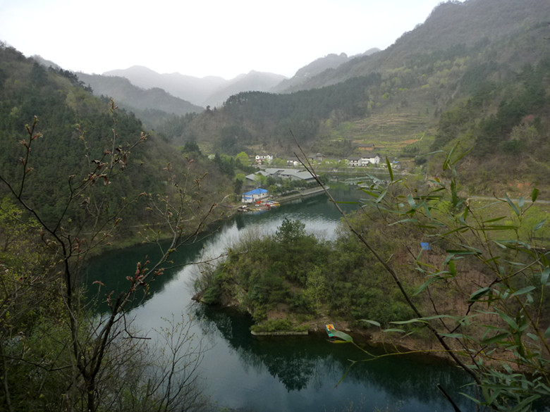 p1110241_.jpg