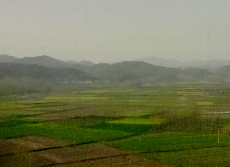 p1110278_.jpg