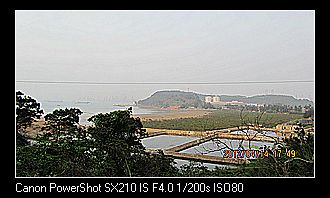neo_img_img_1353.jpg