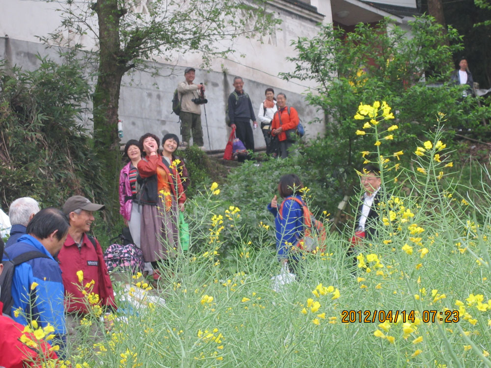 img_1146.jpg