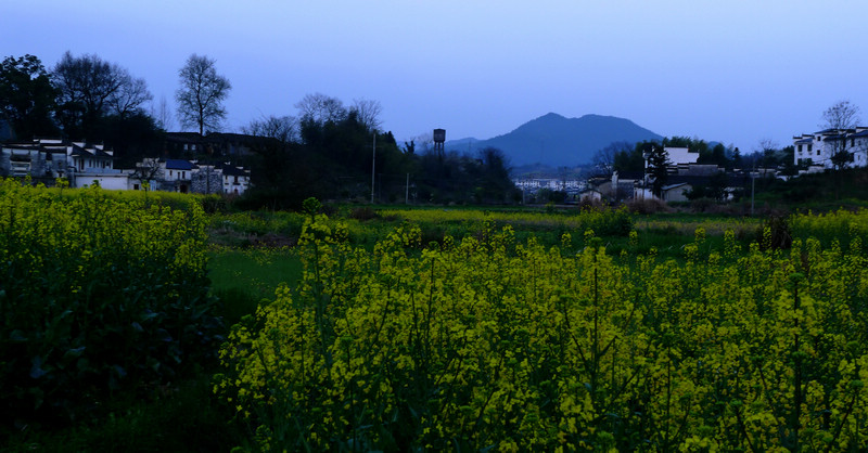p1080766.jpg