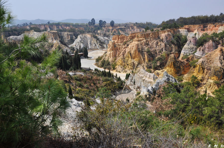 dsc_0081.jpg