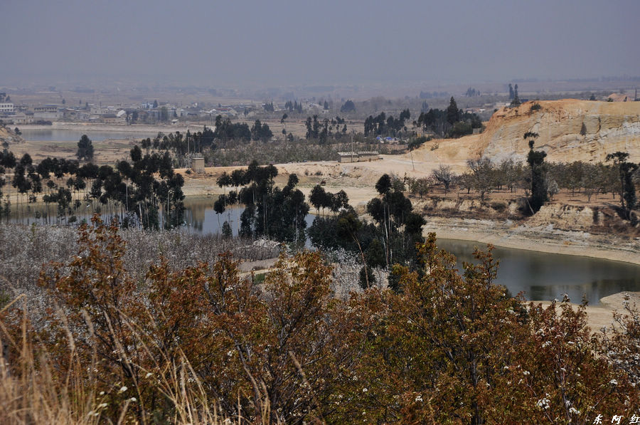 dsc_0082.jpg