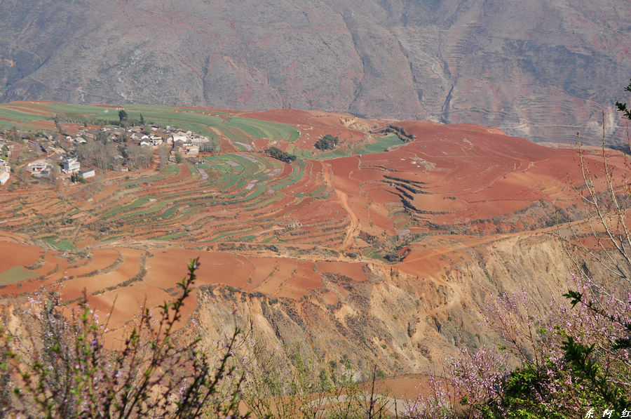 dsc_0089.jpg