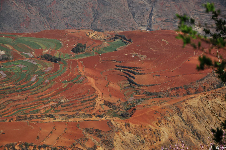 dsc_0092.jpg