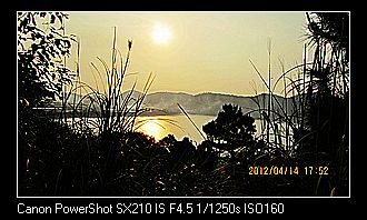 neo_img_img_1356.jpg