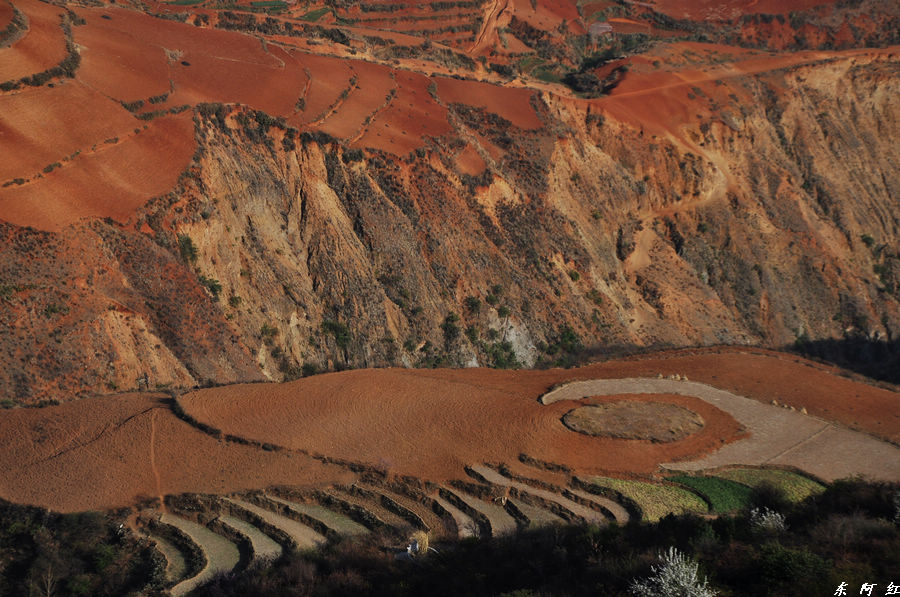 dsc_0114.jpg
