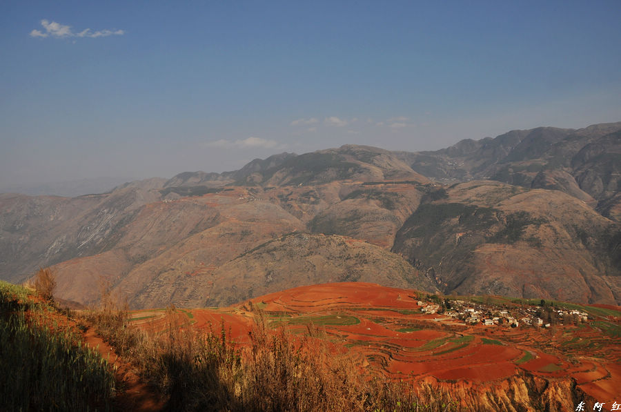 dsc_0190.jpg