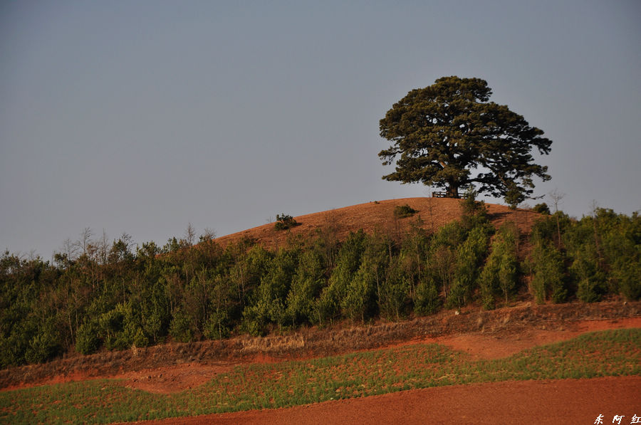 dsc_0200.jpg
