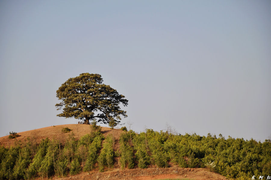 dsc_0199.jpg