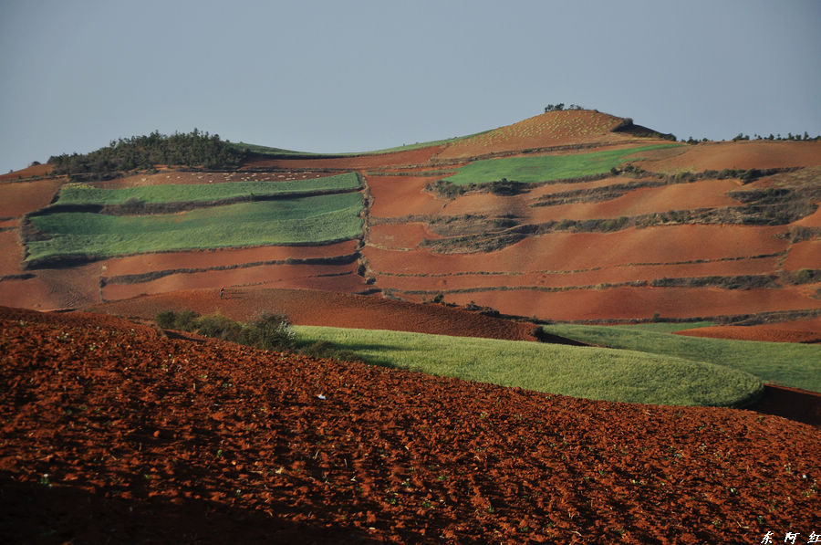 dsc_0208.jpg