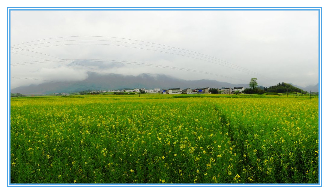 dsc07685_.jpg