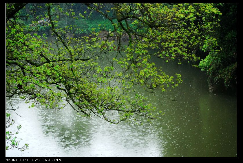 neo_img_պ֮ 014_conew1.jpg