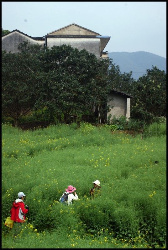 conew_徽杭探古 857_conew1.jpg