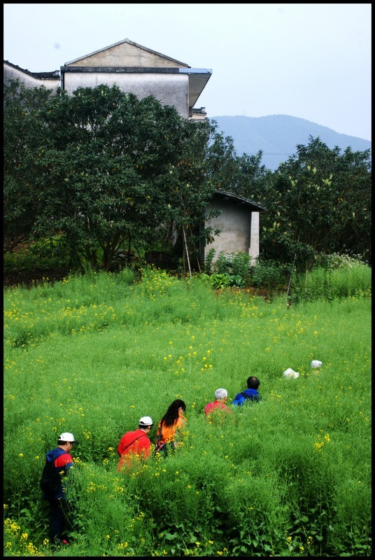 conew_徽杭探古 859_conew1.jpg