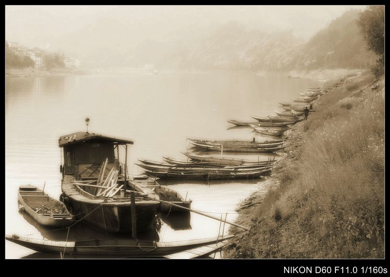 neo_img_徽杭之旅 016_conew2.jpg