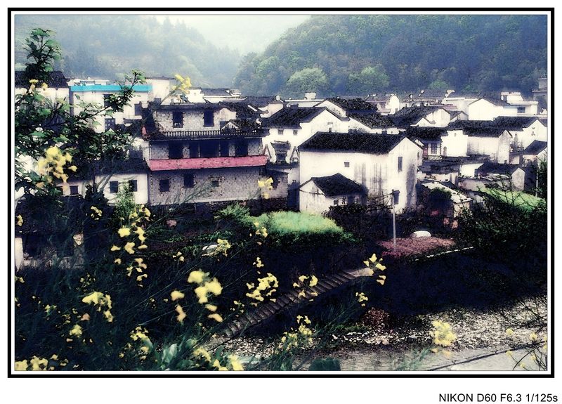 neo_img_徽杭之旅 007_conew3.jpg