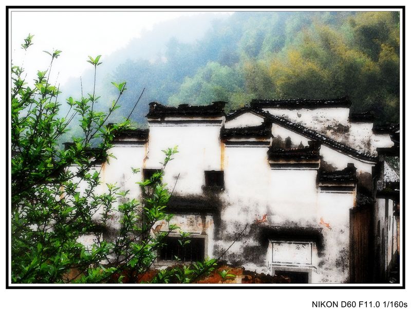 neo_img_徽杭之旅 006_conew3.jpg