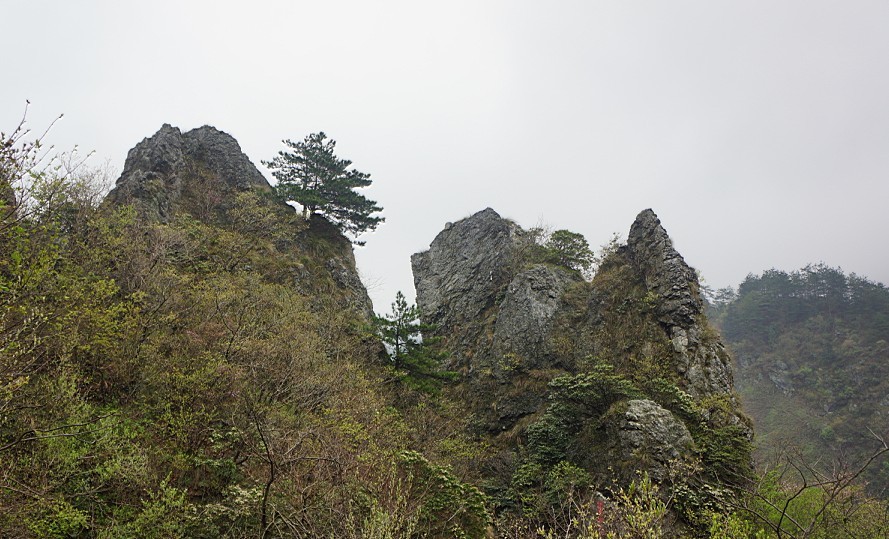 1 (14).jpg