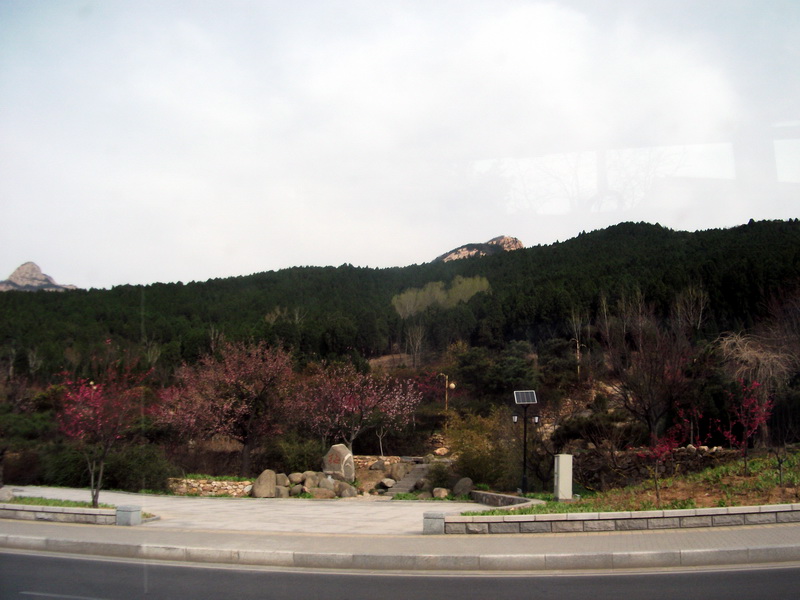 dscf0040.jpg