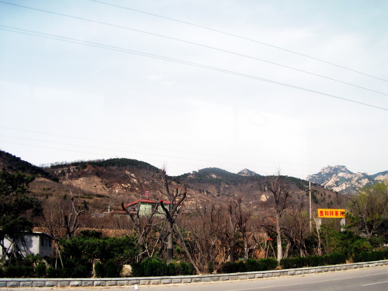 dscf0041.jpg