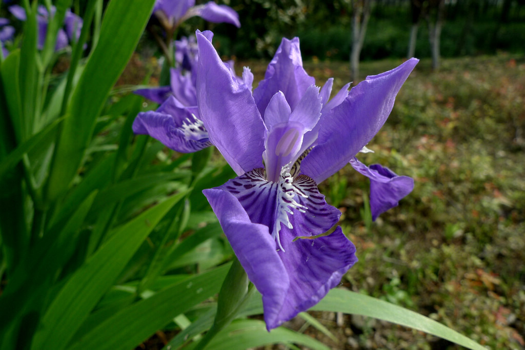 p1080726.jpg