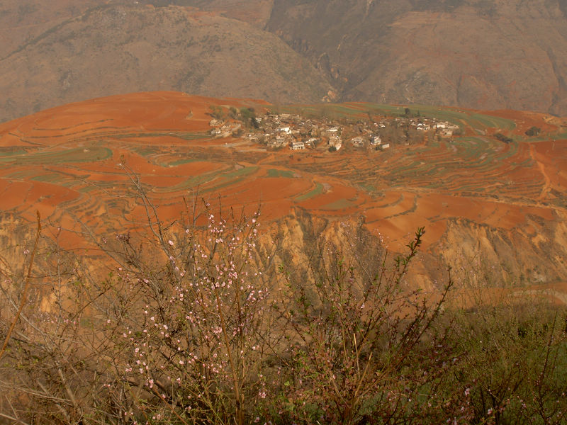 dscn0419.jpg