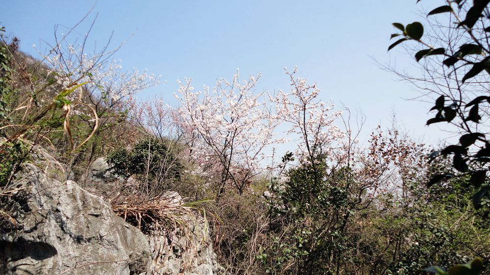 neo_img_dsc06350.jpg