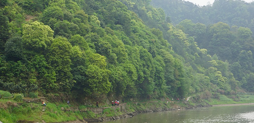 上传 (16).jpg